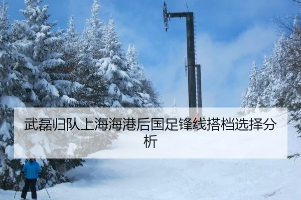 武磊归队上海海港后国足锋线搭档选择分析